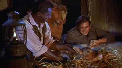 Thee ever see anything prettier, Enoch? - Friendly Persuasion