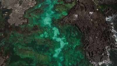 Their barren coastline
looks inhospitable, - Blue Planet II