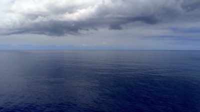 "Their chorus is very different now." - Secrets of the Whales