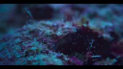 Their collision is so violent that water
trapped between their bumps is vaporized. - Our Oceans