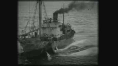 Their extinction
was all but guaranteed. - Six Degrees with Mike Rowe