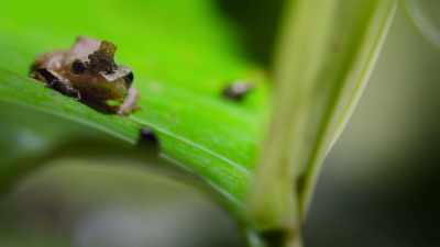 Their father's devotion - Tiny World