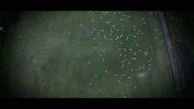 Their fear is a kind of
terrorism - Murder in the Badlands