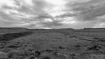 Their horses get stampeded
by wolves. - The American Buffalo