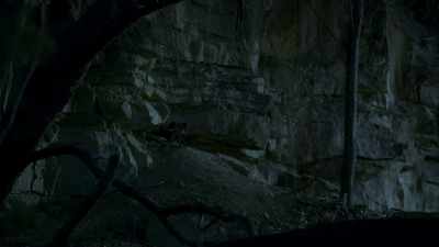 Their mother will protect and feed
these youngsters for another three months. - Seven Worlds, One Planet