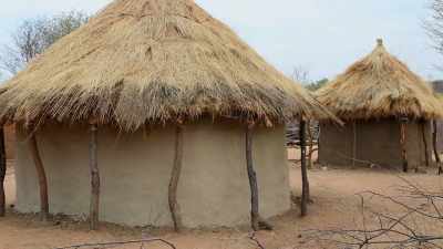 Their new shelters could actually make them more vulnerable. - Ancient Engineering