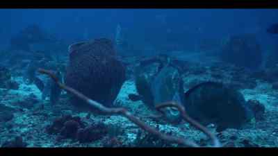 Their performance has won them
dozens of eager admirers. - Our Oceans