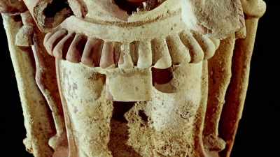 Their shells were associated
with earth gods - Lost Treasures of the Maya