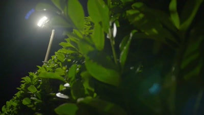 Their story wasn't adding up, - Killers: Caught on Camera
