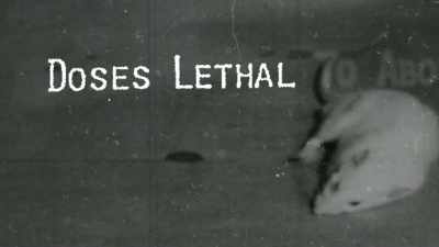 Their studies were showing rats dying,
dogs dying, - The Devil We Know