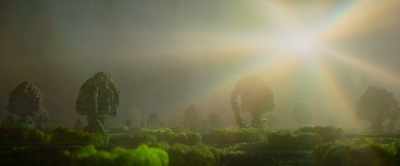 Their surface is covered with a forest
of tiny, light-harvesting proteins - Our Universe