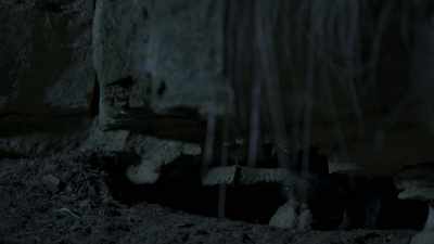 Their survival is important to her,
but also for us... - Seven Worlds, One Planet