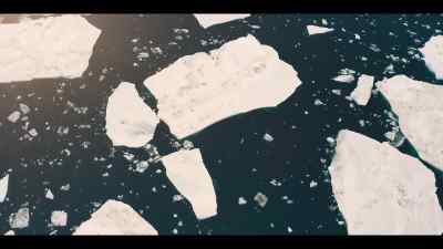 Their survival in this precious
but fast-melting ocean - Our Oceans