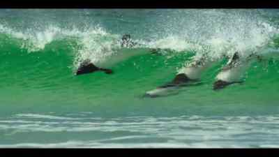 Their team colors - Our Oceans
