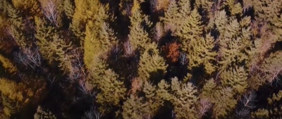 Their technology consisted
of stone implements and fire. - Deep Woods