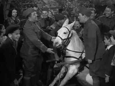 Them French donkeys don't even
understand their own language. - The Fighting 69th