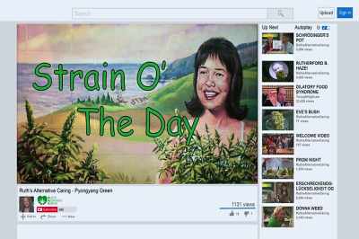[theme music
& train-tooting effect playing] - Disjointed