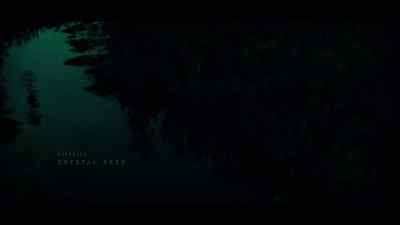 [theme music playing] - Swamp Thing