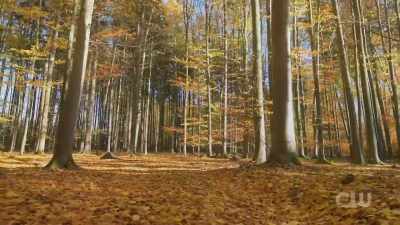 [theme music] - A Waltons Thanksgiving