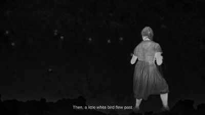 Then, a little white bird flew past - The Zone of Interest
