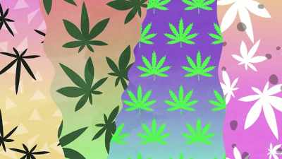 Then a man came along, - Wake & Bake with Dom Brown