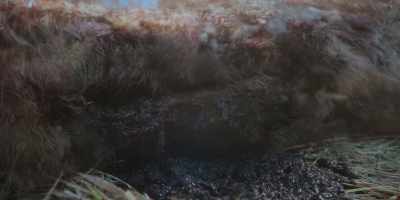 Then where are their flesh and bones? - Kingdom: Ashin of the North