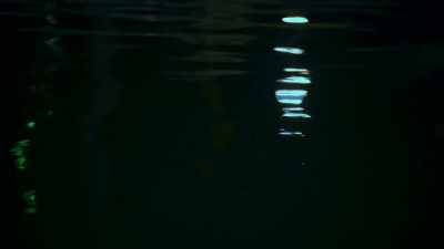 Then, at a little after 2 a.M.
On the 30th... - Searching for Secrets