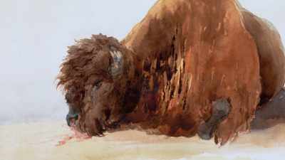 "Then came the ladies;
a ring was formed; - The American Buffalo
