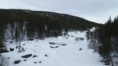 Then, finally, it happens. - Wild Nordic
