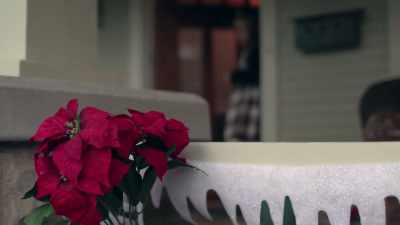  Then we get everybody ready.
 We go and visit my parents. - Phrogging: Hider in My House