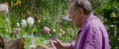 Then we go on to these cannas, - This Beautiful Fantastic