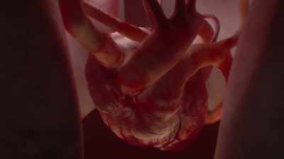 Then it goes back to the heart - Human: The World Within