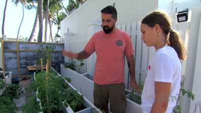 Then we have some cilantro,
some okra, we'll be using... - Island of Bryan