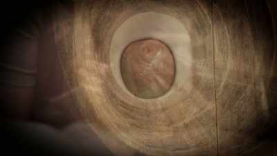 Then we have the completion
of the delivery, - The Way of the Psychonaut