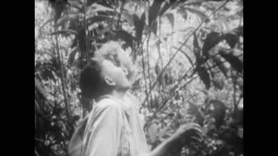 Then we heard a crashing in
the branches ahead - Seven Worlds, One Planet