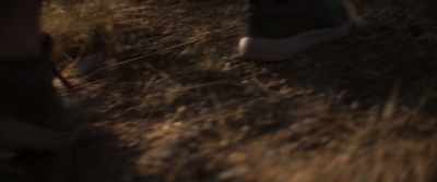Then I thought of Sevim, - About Dry Grasses