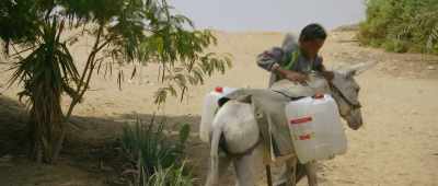 Then I wouldn't be happy. - Secrets of the Saqqara Tomb