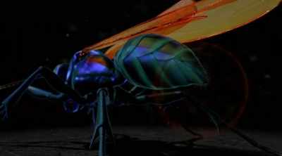 Then they inject it
with a powerful venom, - Kings of Pain