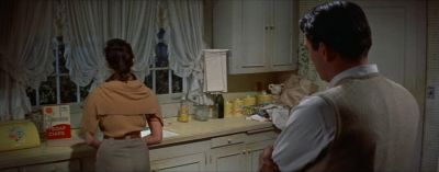 Then if it wasn't the war what has happened to you - The Man in the Gray Flannel Suit