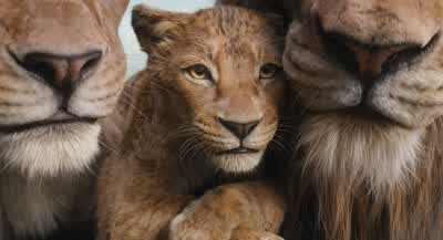 Then it's gone. - Mufasa: The Lion King