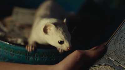 Then make your mind go blank again.
You should be good at that. - His Dark Materials