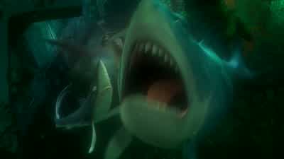 I can't read humanWe got to find a fish that can read thisHey look sharks No no no Dory - Finding Nemo