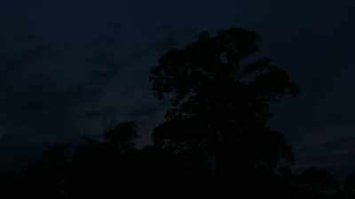 Then as night falls,
its greatest deception begins. - Our Great National Parks