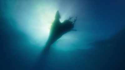 Then, no longer kept buoyant by its oil, - Blue Planet II