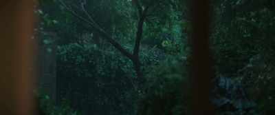 Then, one night,
alone in the forest, - This Beautiful Fantastic