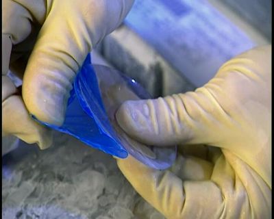 ...THEN PEEL OFF
THE PROTECTIVE FILM - How It's Made
