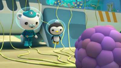 Then please stop.
We won’t take over your space on the reef. - Octonauts and the Great Barrier Reef