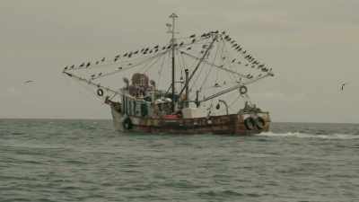 Then the fishing boat over here - Trafficked with Mariana van Zeller