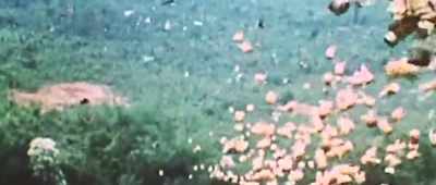 Then the next bomb exploded, - Alien: Battlefield Earth