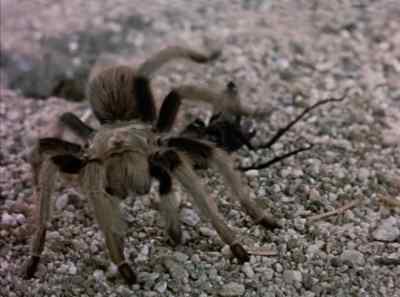 Then the turning point - The Living Desert